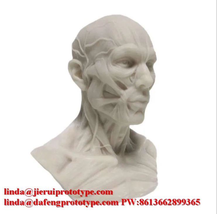 

Advanced Multifunctional Nursing Training Medical simulator 3D printing SLA SLS Laser cutting Small volume production Injection