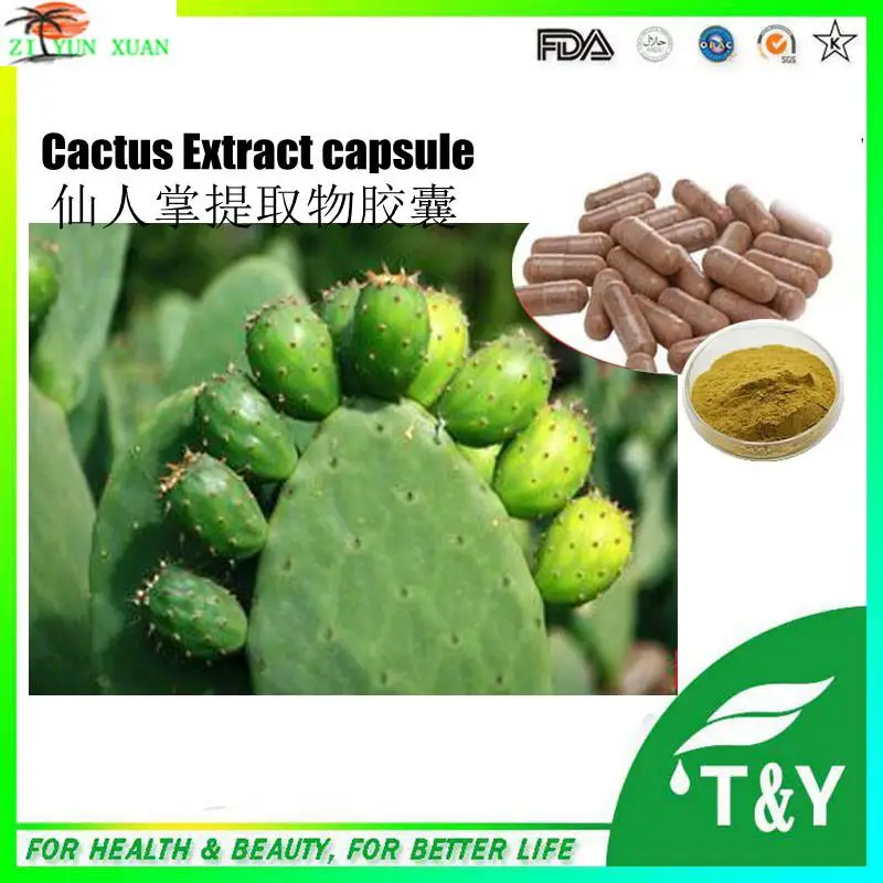 Weight Control Powder Cactus Extract,Cactus Extract Powder,Opuntia