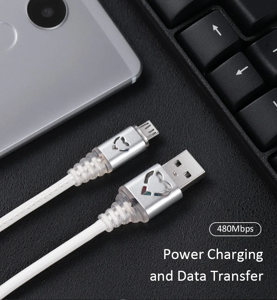 Cable Micro USB (3)