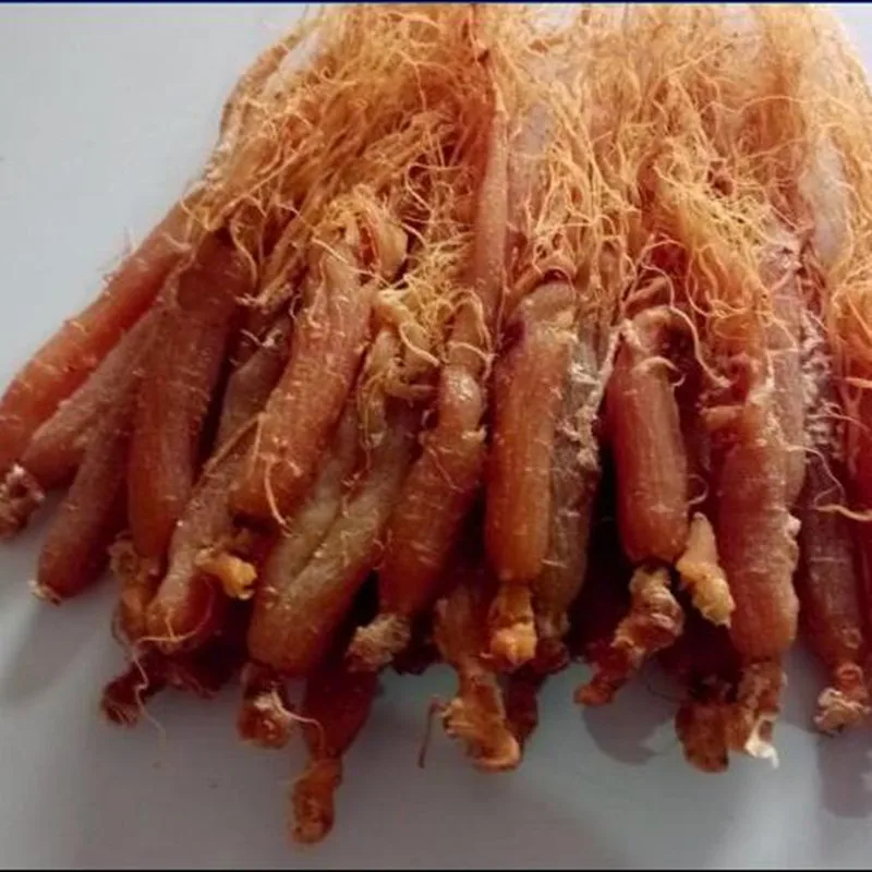 Чистый натуральный высококачественный корень красного женьшеня в течение 10 лет. Радикс женьшень рубра, повышающий иммунитет, Анти-усталость, анти-старение