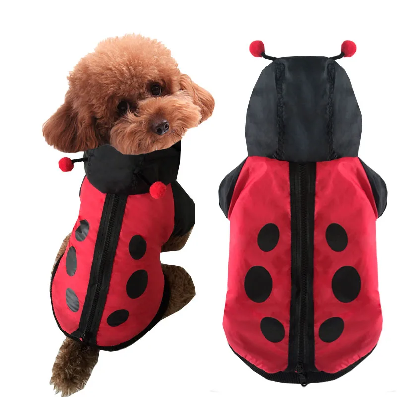 Funny-halloween-dog-ladybug-costume-Chihuahua-clothes-winter-warm-small ...