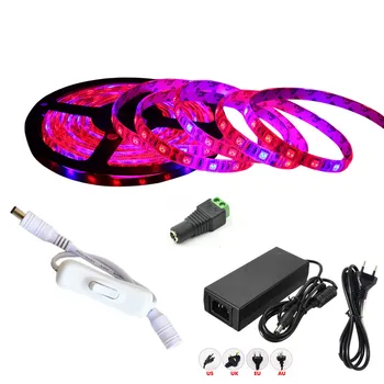 

WorldSky 8:1 3:1 4:1 5:1 Newset LED Grow Lights DC12V Growing LED Strip Plant Growth Light Set with DC12V 6A Adapter and Switch