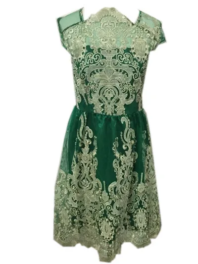 Женское короткое шифоновое платье, кружевное Сетчатое платье с вышивкой, Старинное платье до колен, сексуальное Клубное платье - Цвет: green