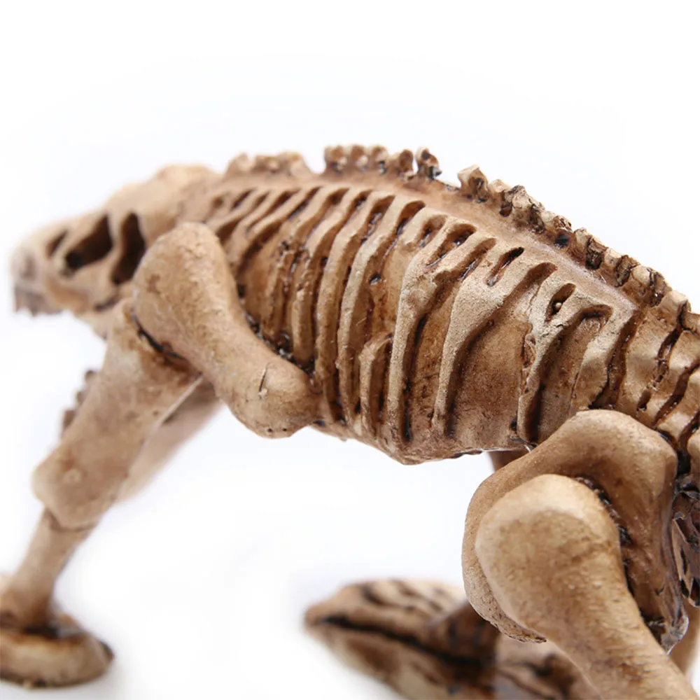 Cosplay&ware Halloween Decoration Bone Animals Skeleton Ornaments Batspiderdragonbird Bones Hallowmas Horror Party -Cosplayware Store HTB1chCOXffsK1RjSszgq6yXzpXaF.jpg