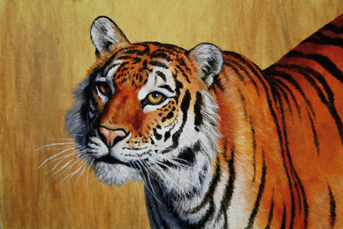 

Needlework full embroidery painting cross stitch animal diy diamond painting kits cross stich round diamond painting