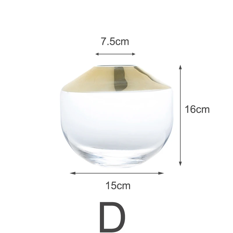Креативная позолоченная стеклянная ваза, гидропонный аппарат, Террариум, цветочная ваза, Скандинавское украшение, для домашних ВАЗ, для центрального украшения свадеб - Цвет: D 16cm