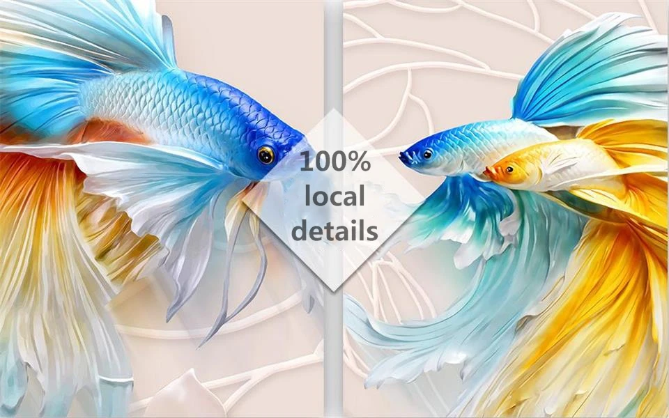 36020170804200650229
