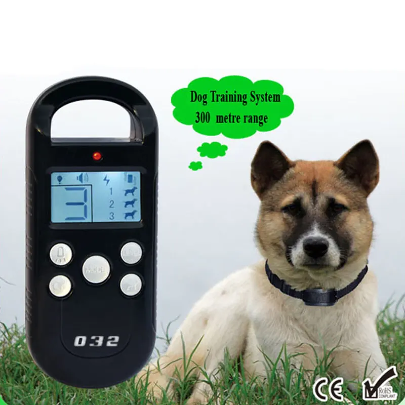 dog training collar (6)