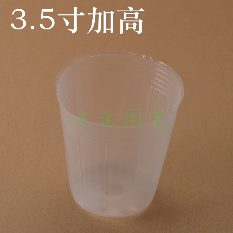 

Orchid / Phalaenopsis / Dendrobium nutritional bowl nursery bags 3.5-inch disk heightening transparency Nursery Cup