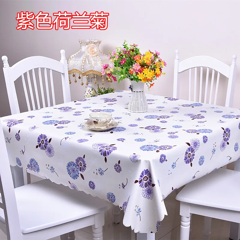 紫色荷兰菊.jpg