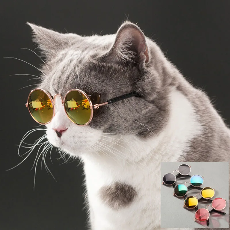 

Cute Pet Cat Glasses Dog Glasses Pet Products Little Dog Cat Eye Wear Dog Sunglasses Photos Props Accessories Novelty Gag Toys