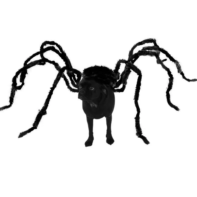 

Funny Halloween Pet Spider Costume Dog Clothes Joke Cat accessories Black Prank Scary Prop Horror Villain Bug terror Animals DIY