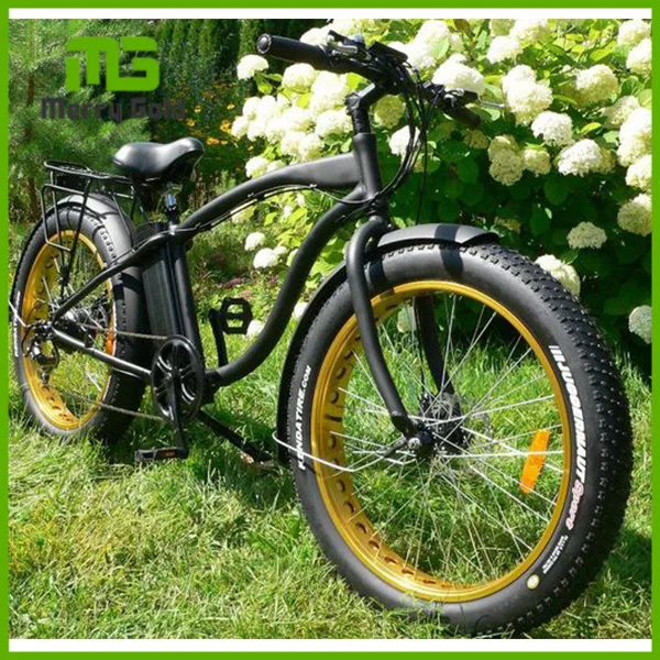 Cheap Price & High Quality 48V 750Watt 20ah Lithium Battery Electric