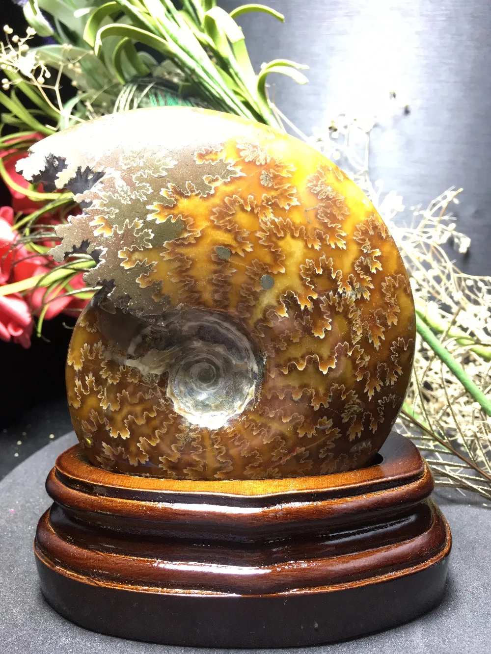 

504grams of snail ammonite fossils mineral carving ~ beautiful colour