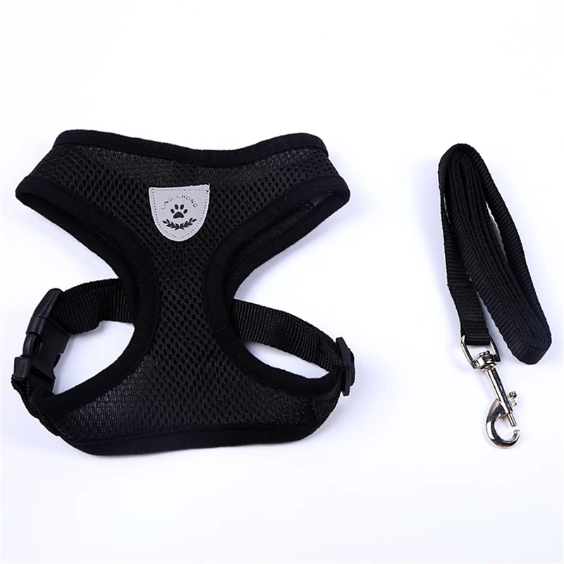 3 dog leash 