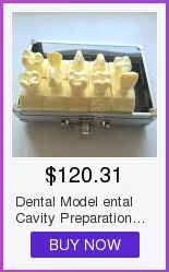 Modelo de Gesso Molde de Base de Silício Dental Bloco Completo-roxo Suprimentos Edentulous Jaw 2 Pçs - Set 5 Modelo de Ensino Dental