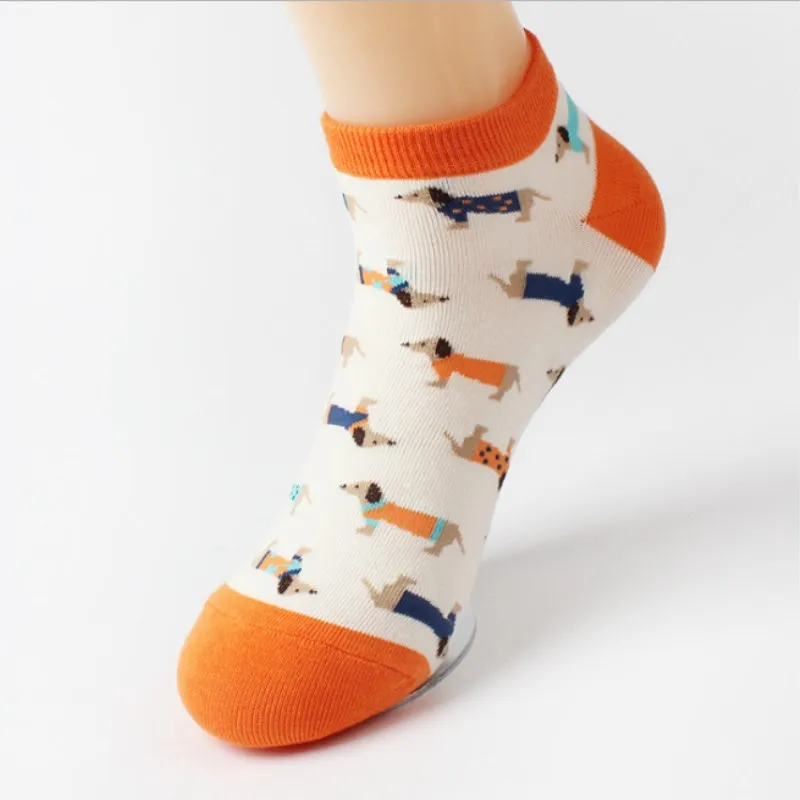 

Wiener dog socks Daily Animal Weel Socks Candy Color Dachshund Design Ankle Cotton Socks Factory