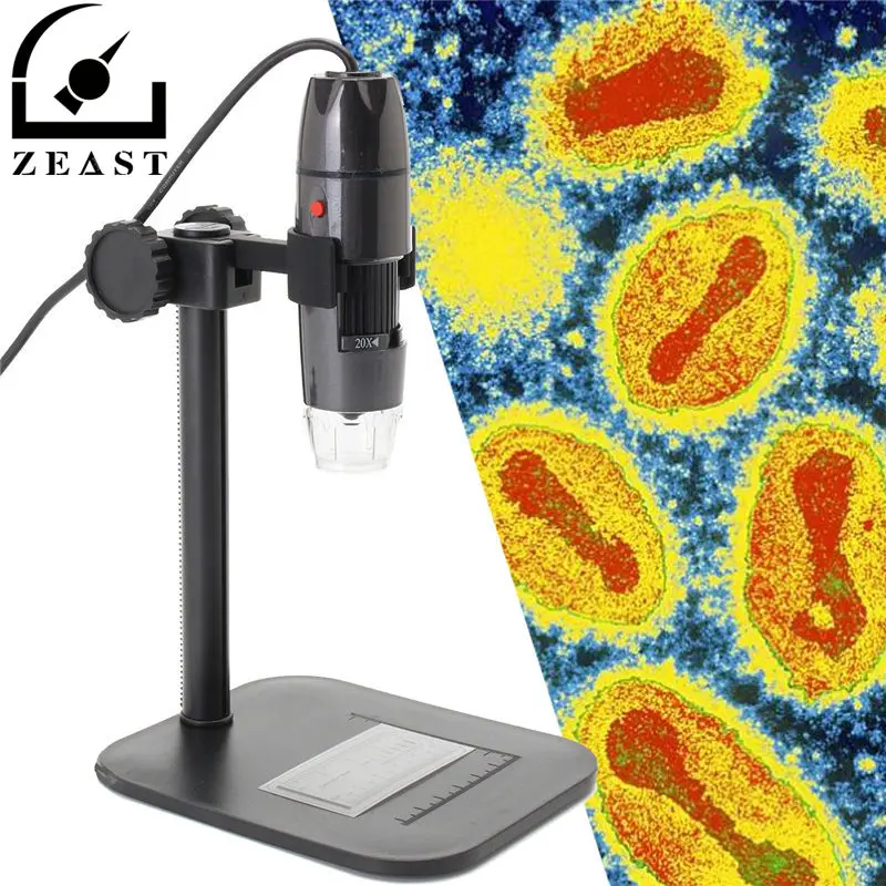 

8LED 800X USB HD Digital Microscope Electronic Lens Zoom Light Biological Magnifier Endoscope Camera Video Stand