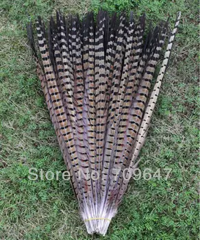 

50Pcs/LOT! 24-26"60-65cm NATURAL Ringneck Pheasant Tail Wholesale Feathers (bulk) ,wedding decoration,long feathers