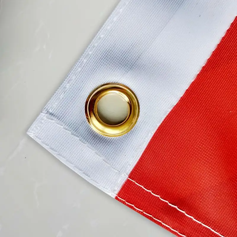 Graphic Custom Printed Flag Polyester Shaft Cover Brass Grommets Free Design Outdoor Advertising Banner Decoration Party Sport - Image 4