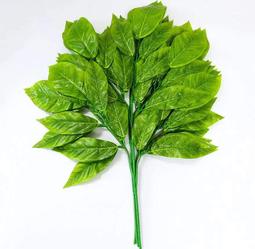 слив дамиана. Buy leaf. лаврушка. листья вишни сухие. Buy leaf.