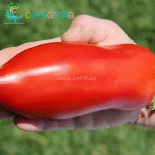 Pack 20 Seeds / Pack,fruit Tomato ,tomatoes Seeds,red Bananas Tomato Seed