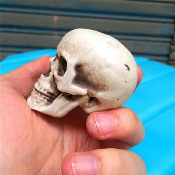 Cool Scary Mini Skeleton Heads Figure Prank joke toy punk Ghost House decoration - 5