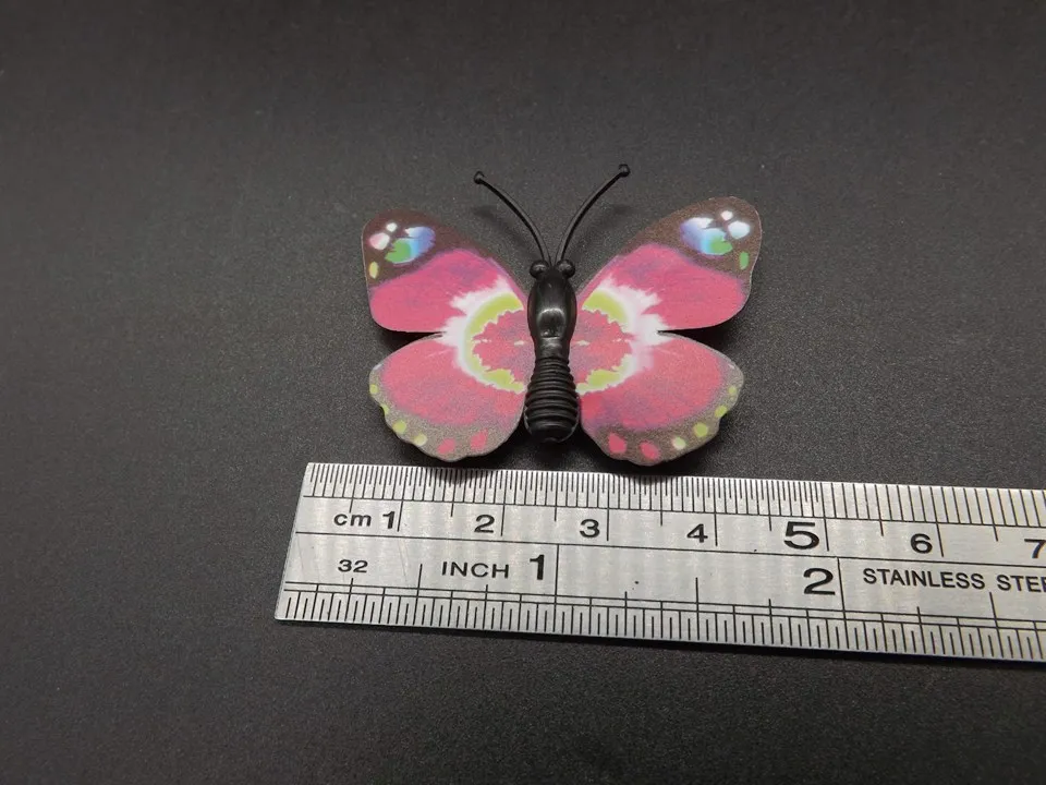 I250-Butterfly (10)