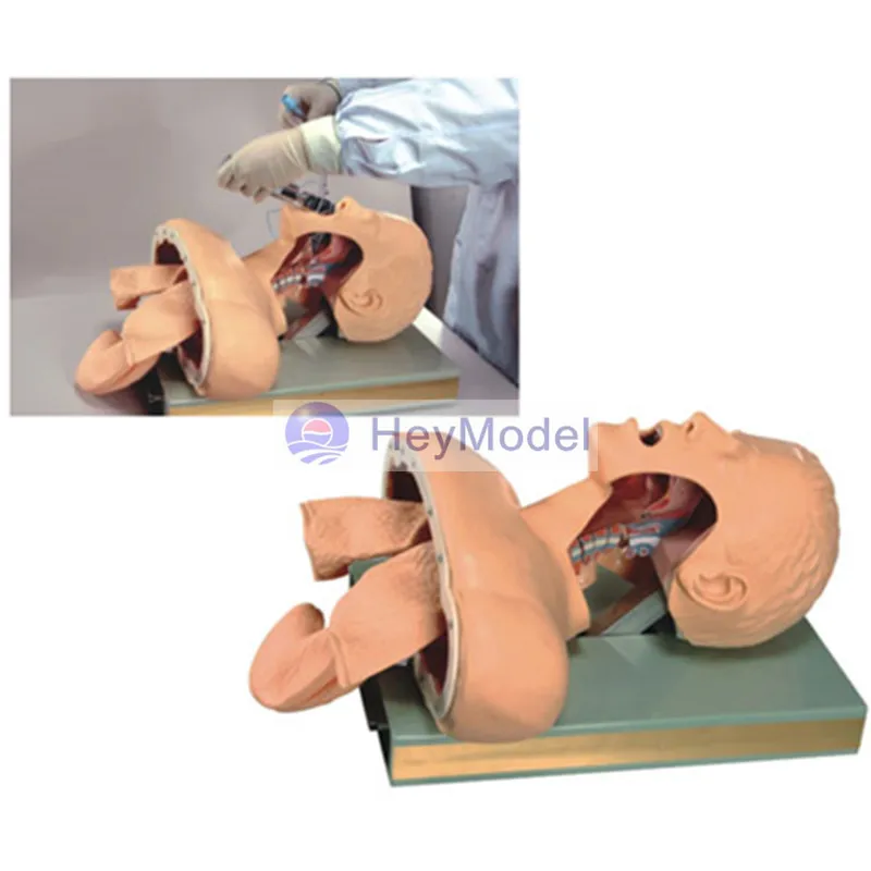 HeyModel Tracheal intubation training model (with alarm) CPR / J50 intubation training model HeyModel Tracheal intubation training model (with alarm) CPR / J50 intubation training model