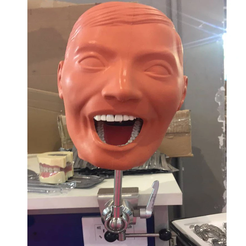 phantom head with drainage (1)