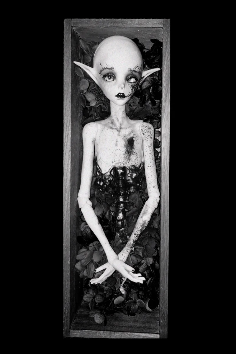 

SuDoll bjd sd dolls The Moon and The Star ( two head + one body) high quality