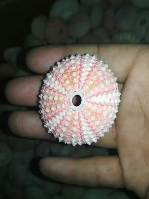 5281107161_1137156290.400x400