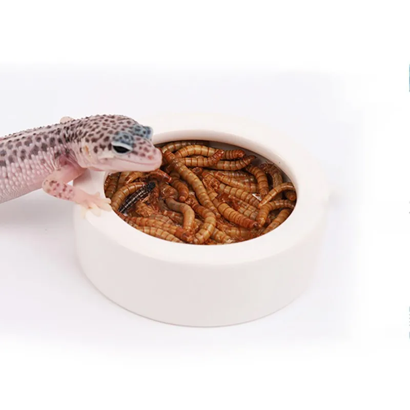 Принадлежности для кормления Mealworm мука червячная тарелка умная миска для кормления блюдо восковая червячная тарелка