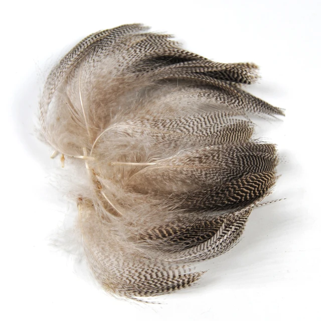 Natural Barred Mallard Duck Flank Feathers 50PCS/Bag 5
