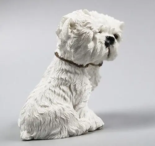 West Highland White Terrier dog couple 7