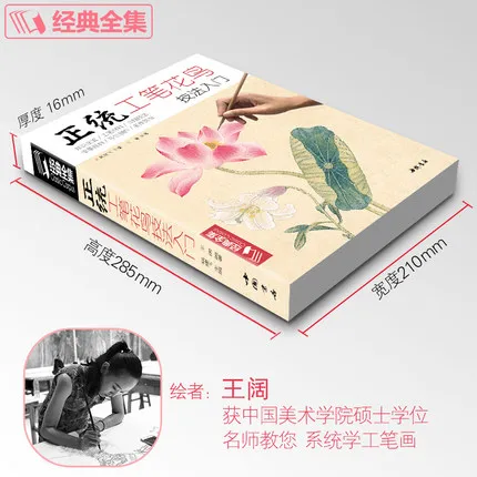 Тщательная техника птицы и цветы начинаются базовые учебники Книги Китайский Gongbi картины Цветной пион
