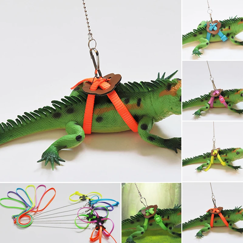 Bearded Dragon Gecko Reptile Supplies Fly Animal Pet Bird Parrot Adjustable Lizard Training Cable Rope Strap Walk Bearded Dragon Gecko Reptile Supplies Fly Animal Pet Bird Parrot Adjustable Lizard Training Cable Rope Strap Walk