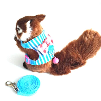 

Stripe Bow Chinchilla Hamster Small Pet Squirrel Harness Cartoon Vest Clothes With Lead Leash Rope Collar For Hamster Mouse Rat