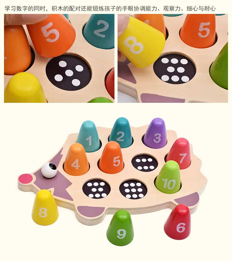 MG  (6)