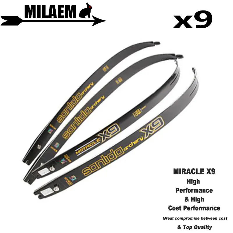 

2pcs Archery X9 ILF Recurve Bow Limbs Lntermediate ILF Limbs Graphite Foam 20-46Lbs Recurve Bow Hunting Shooting Accessories