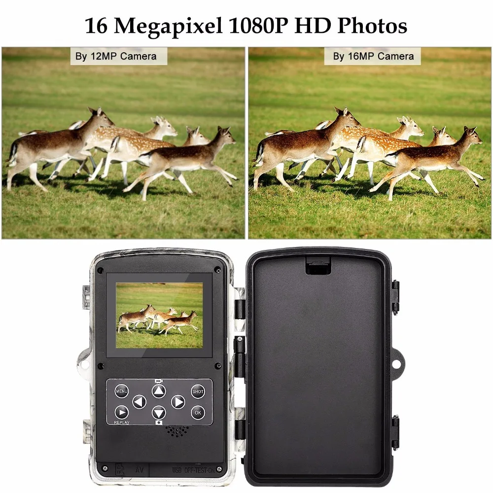 Hunting camera photo traps wildlife (1)