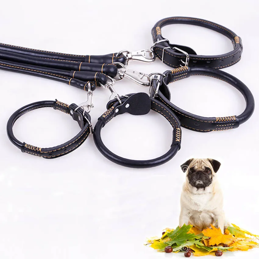 Soft leather collar leash for dogs pet dog belt animal dog necessities