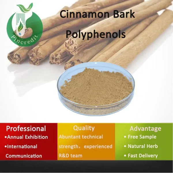 Prenium Cinnamon,Cinnamon Bark Water Extract 40,Cinnamon Powderbark