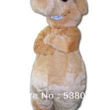 Профессиональные услуги по заказу клевые солнцезащитные очки собака костюм талисмана плюшевые, для взрослых собак Костюм Коммерческая Реклама Костюм SW460