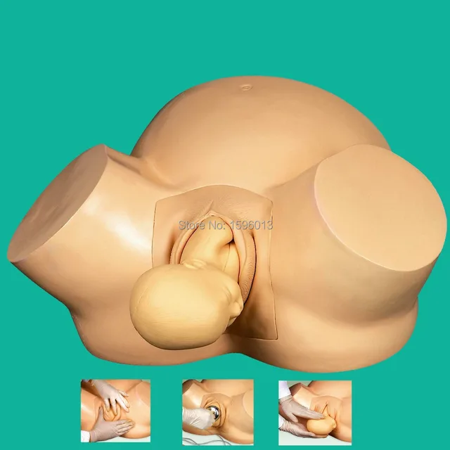 advanced vacuum delivery simulator midwifery training model vacuum delivery