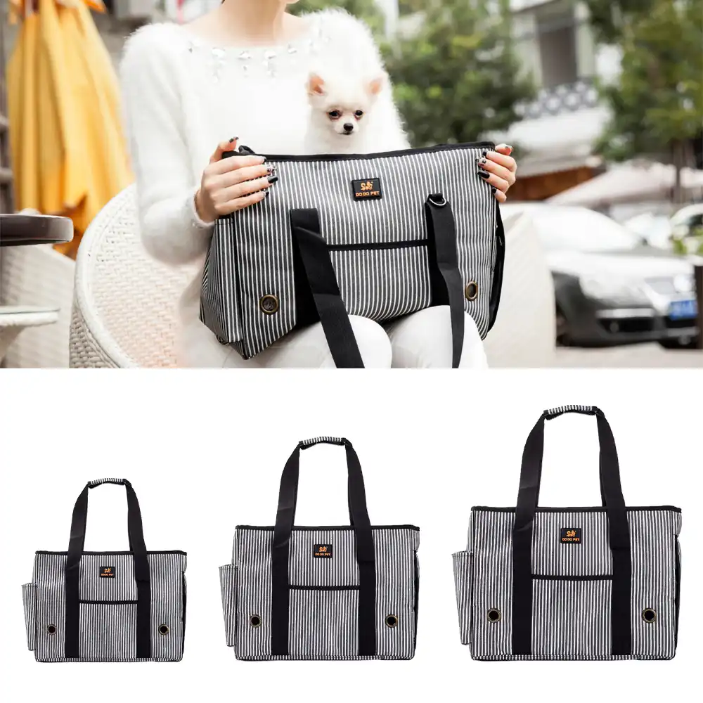 pomeranian carrier