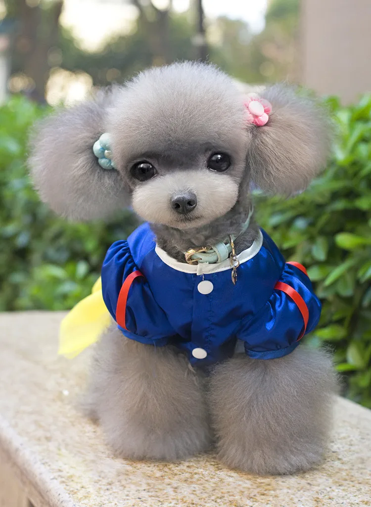 clothes for dogs pet dog dress for chihuahua yorkies classic aeproduct