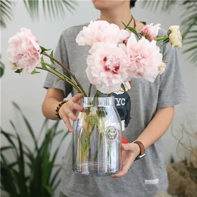 Современное прозрачное стекло с красивая ваза гидропоники цветок ваза для цветов DIY Свадебная вечеринка Декор домашние декоративные предметы - Цвет: With Cororful