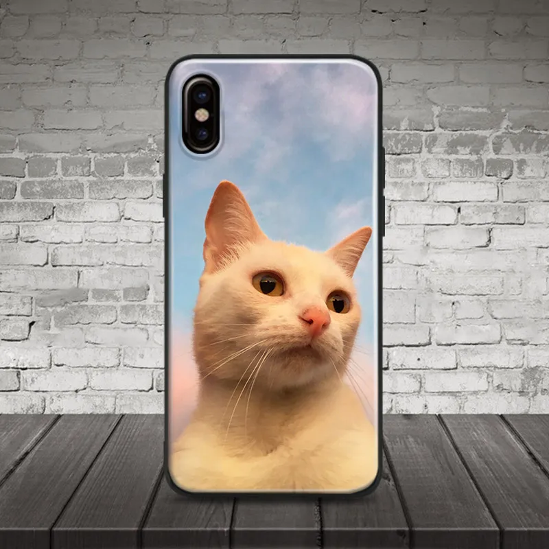 

White cute cat animal aesthetic Soft Silicone Phone Case Cover For Apple iPhone 5 Se 5s 6 6s 6Plus 6sPlus 7 8 7Plus 8Plus X