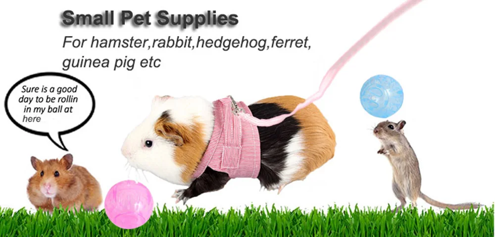 Hamster harness